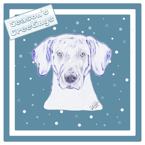 Weimaraner Christmas Card Choice of 3 Card Designs Single or Multi Pack