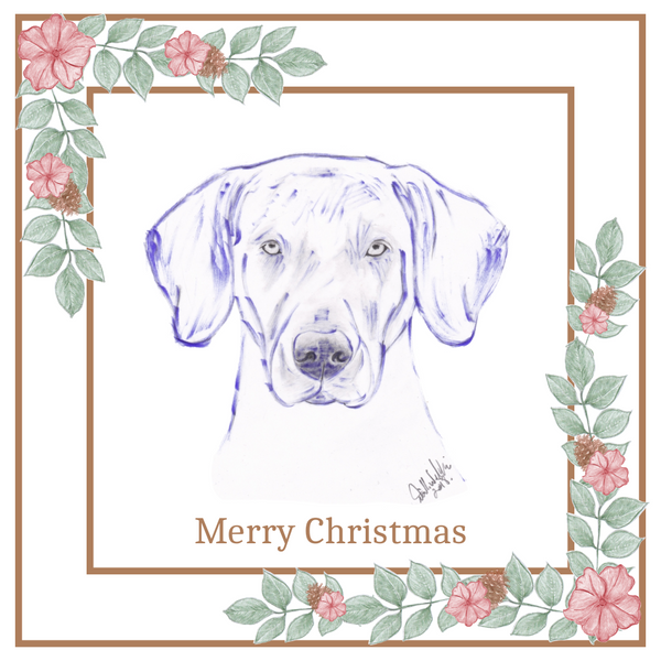 Weimaraner Christmas Card Choice of 3 Card Designs Single or Multi Pack