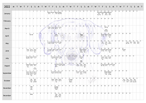 Weimaraner Dog Show 2022 Year Planner A4