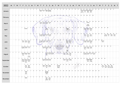 Weimaraner Dog Show 2022 Year Planner A4