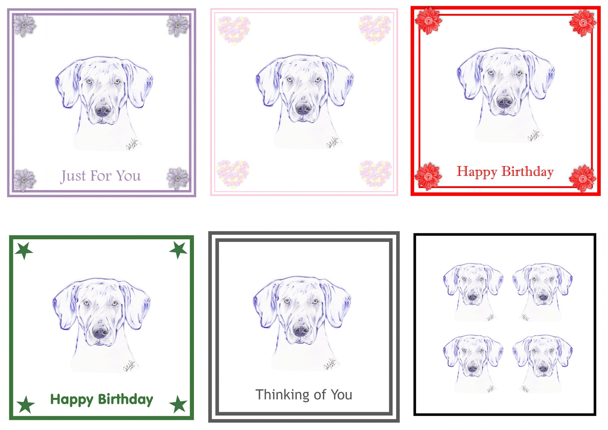 Weimaraner Greeting Card Choice of 6 Designs BIRTHDAY, THINKING OF YOU, BLANK