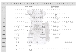 Welsh Terrier Dog Show 2022 Year Planner A4
