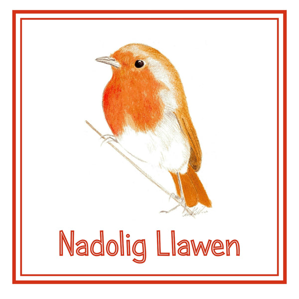 Nadolig Llawen Robin Christmas Cards