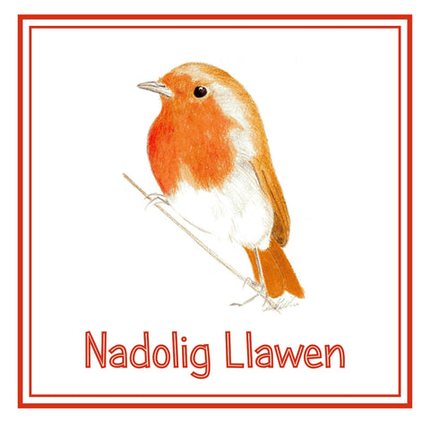 Nadolig Llawen Robin Christmas Cards
