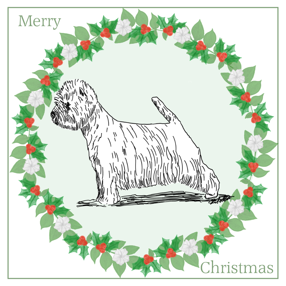 West Highland White Terrier WHWT Christmas Card Choice of 3 Card Designs Single or Multi Pack