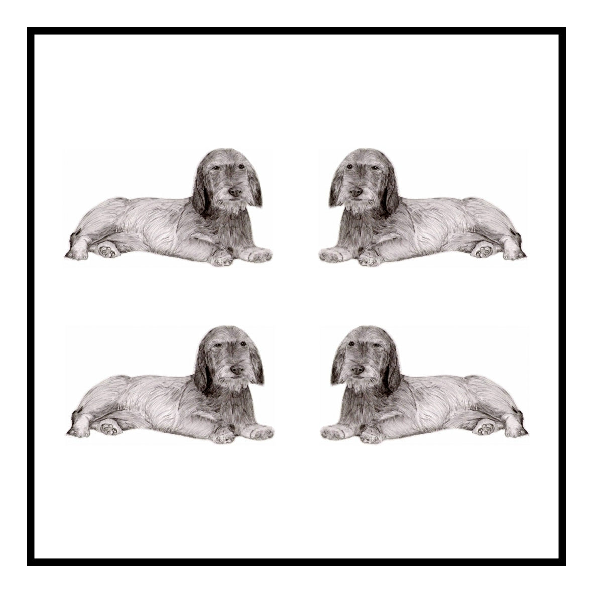Dachshund Wired haired  Greeting Card Choice of 6 Designs BIRTHDAY, THINKING OF YOU, BLANK