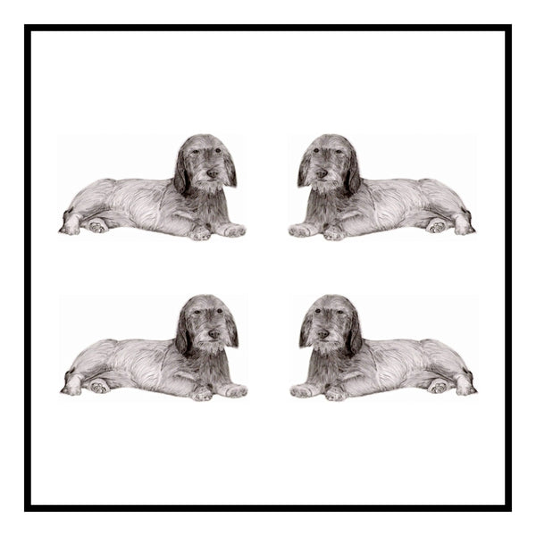 Dachshund Wired haired  Greeting Card Choice of 6 Designs BIRTHDAY, THINKING OF YOU, BLANK