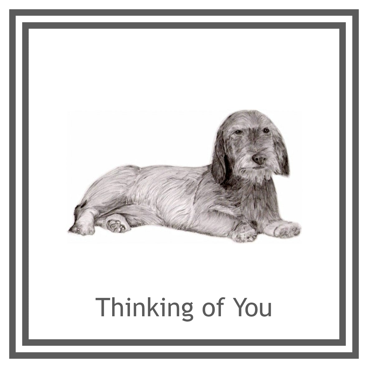 Dachshund Wired haired  Greeting Card Choice of 6 Designs BIRTHDAY, THINKING OF YOU, BLANK