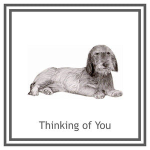 Dachshund Wired haired  Greeting Card Choice of 6 Designs BIRTHDAY, THINKING OF YOU, BLANK