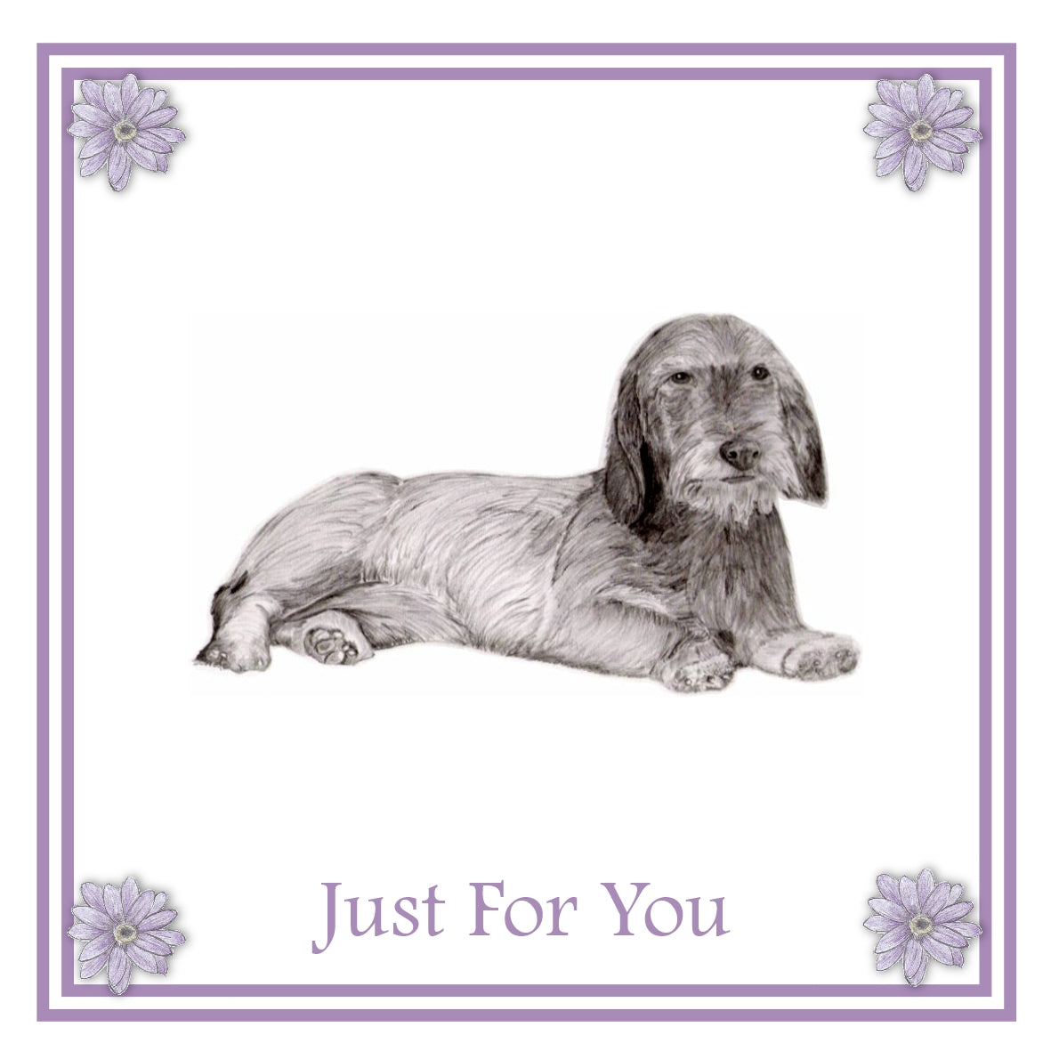 Dachshund Wired haired  Greeting Card Choice of 6 Designs BIRTHDAY, THINKING OF YOU, BLANK