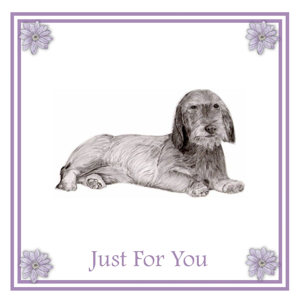 Dachshund Wired haired  Greeting Card Choice of 6 Designs BIRTHDAY, THINKING OF YOU, BLANK