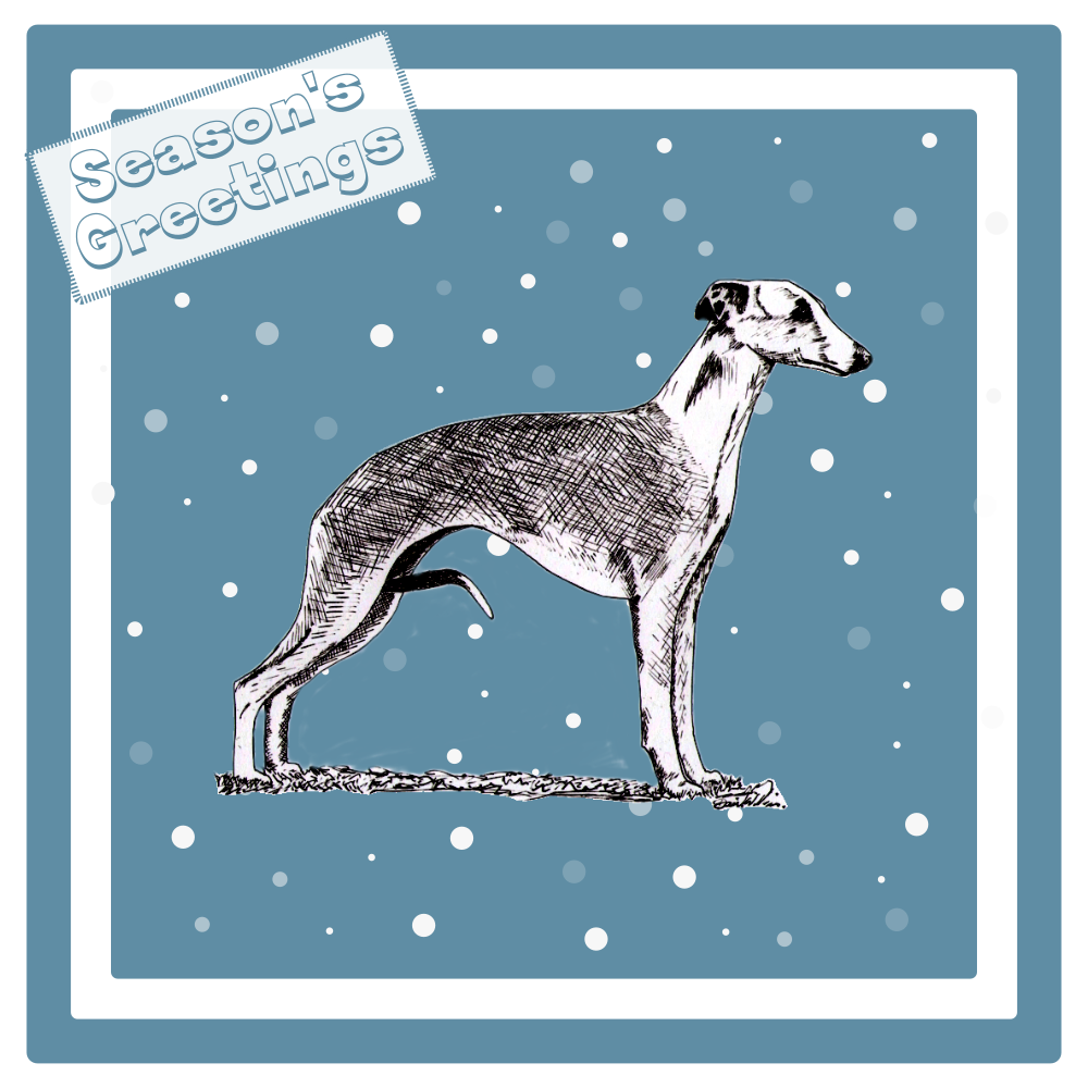 Whippet Christmas Card Choice of 3 Card Designs Single or Multi Pack