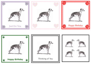 Whippet Greeting Card Choice of 6 Designs BIRTHDAY, THINKING OF YOU, BLANK