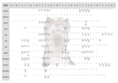 Yorkshire Terrier Dog Show 2022 Year Planner A4