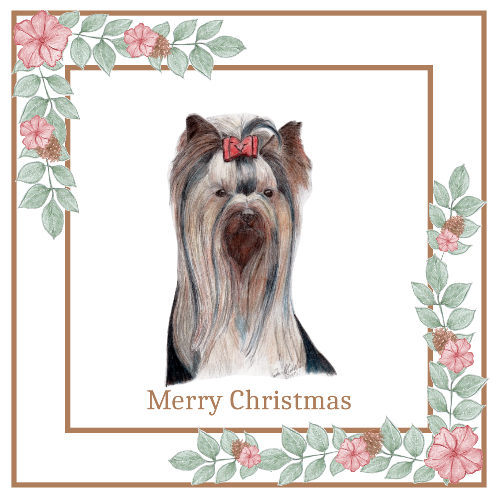 Yorkshire Terrier Christmas Card Choice of 3 Card Designs Single or Multi Pack